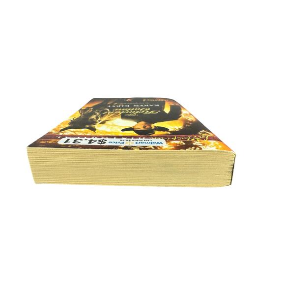 The Reluctant Outlaw by Karen Kirst (Paperback) - Picture 6 of 6